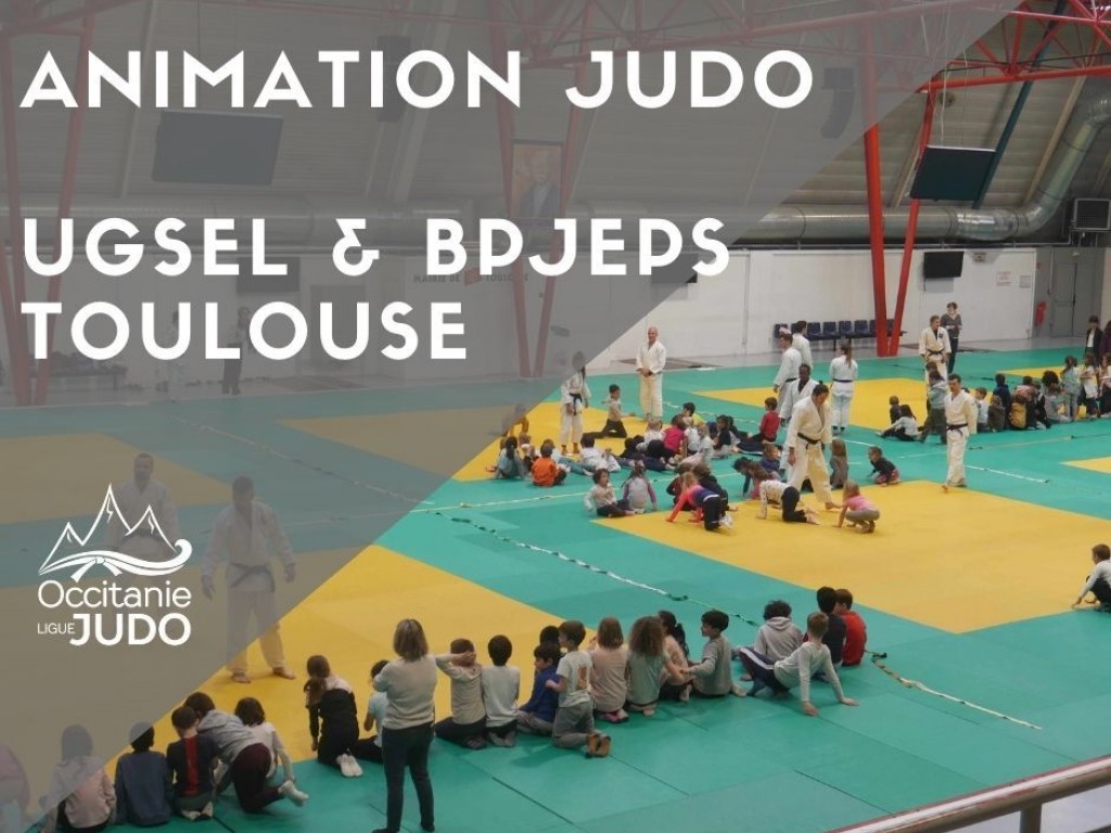 Image de l'actu 'Animation Judo - UGSEL x BPJEPS Toulouse'