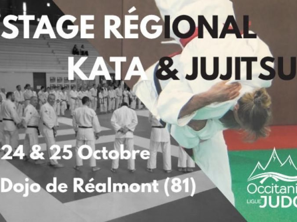 Image de l'actu 'Stage Régional Kata et Jujitsu - Réalmont'