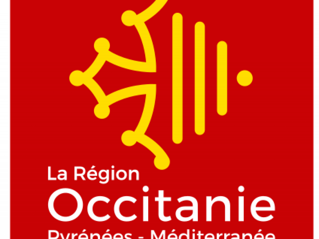 Image de l'actu 'Un tarif liO Train dédié aux clubs sportifs amateurs d’Occitanie mis en place par la Région !'