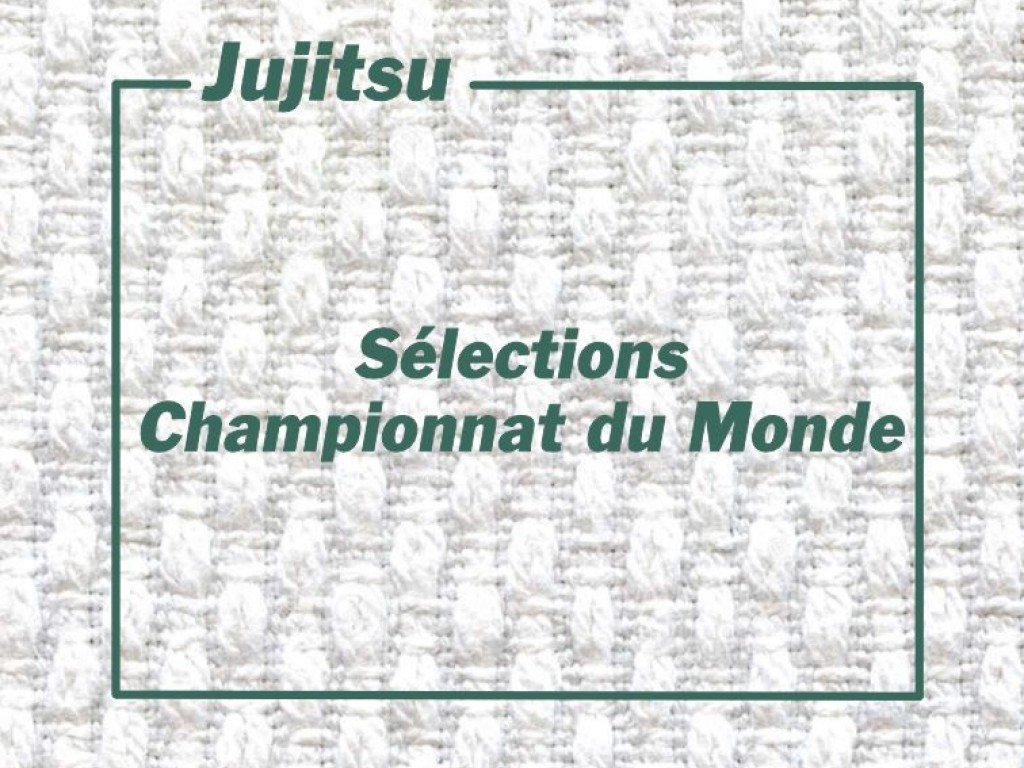 Image de l'actu 'Sélection Championnat du Monde Jujitsu'