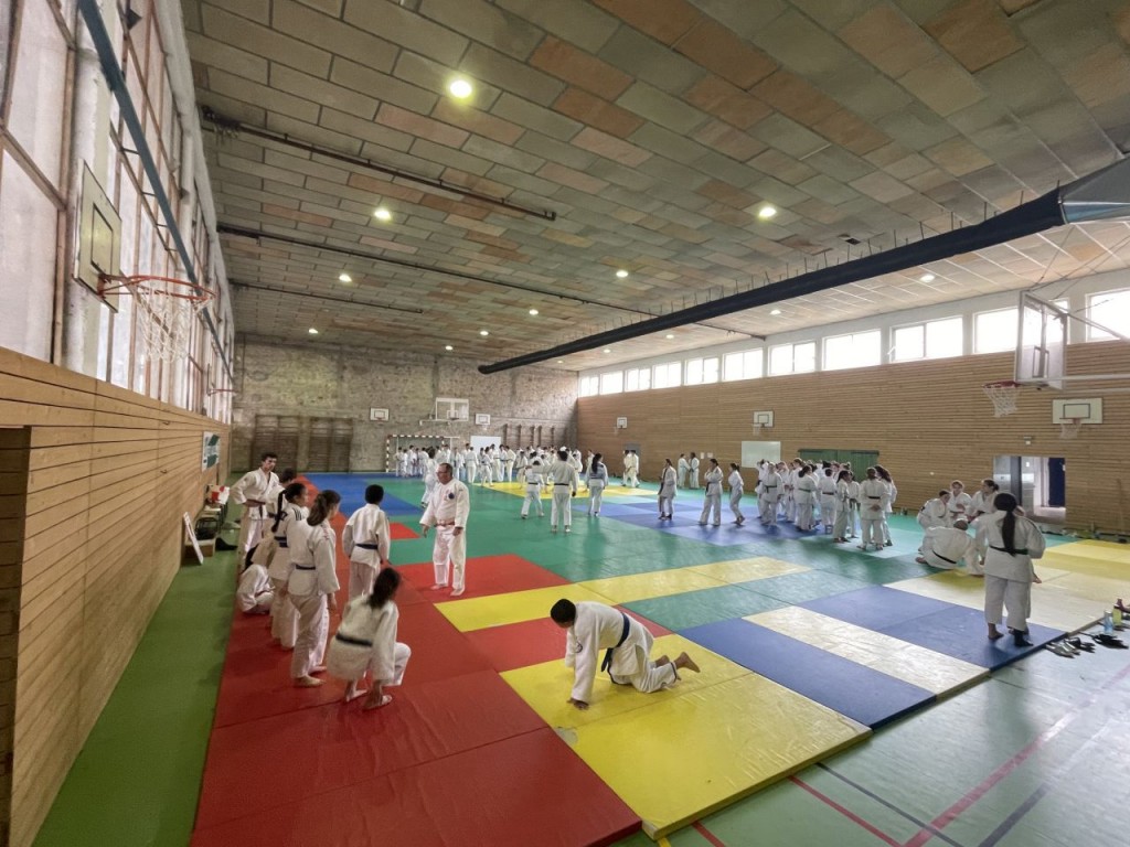 Image de l'actu 'Stages de printemps pour les jeunes judoka de la Ligue'