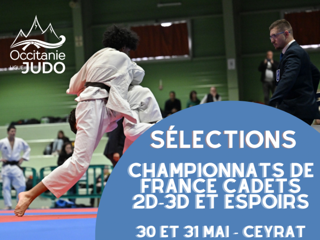 Image de l'actu 'Sélections aux championnats de France Cadets 2D, 3D et Espoirs 2026'