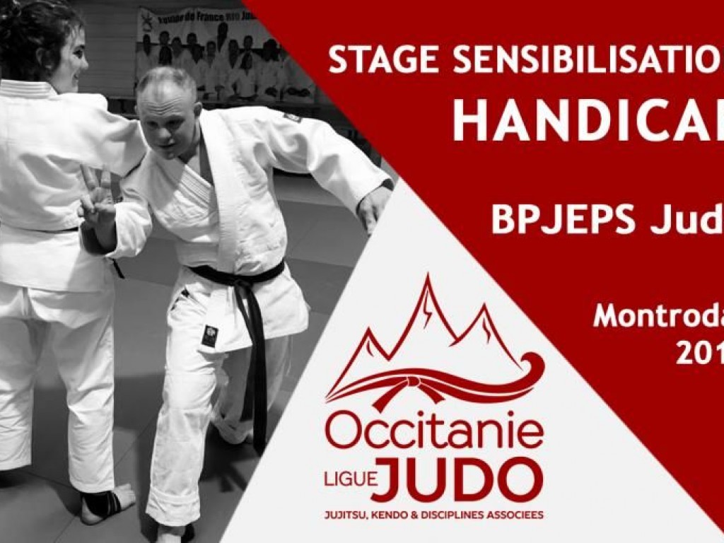 Image de l'actu 'Retour sur la semaine de Stage de Sensibilisation au handicap des BPJEPS Judo au Centre d'Education Motrice de Montrodat'