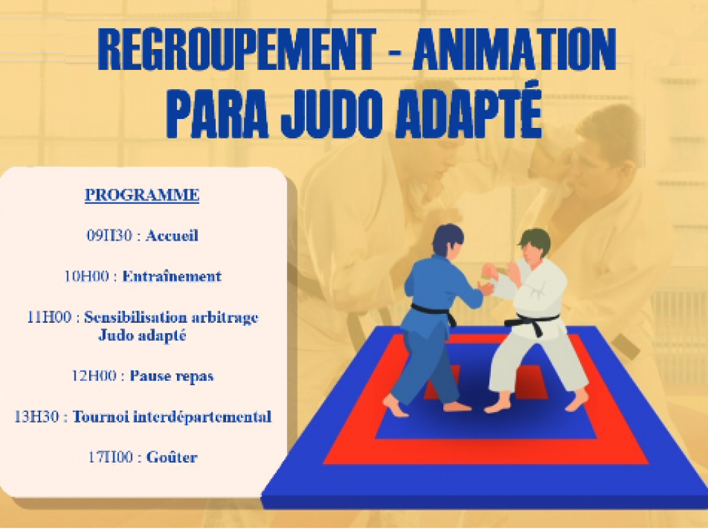 Image de l'actu 'Regroupement Animation Para Judo Adapté'