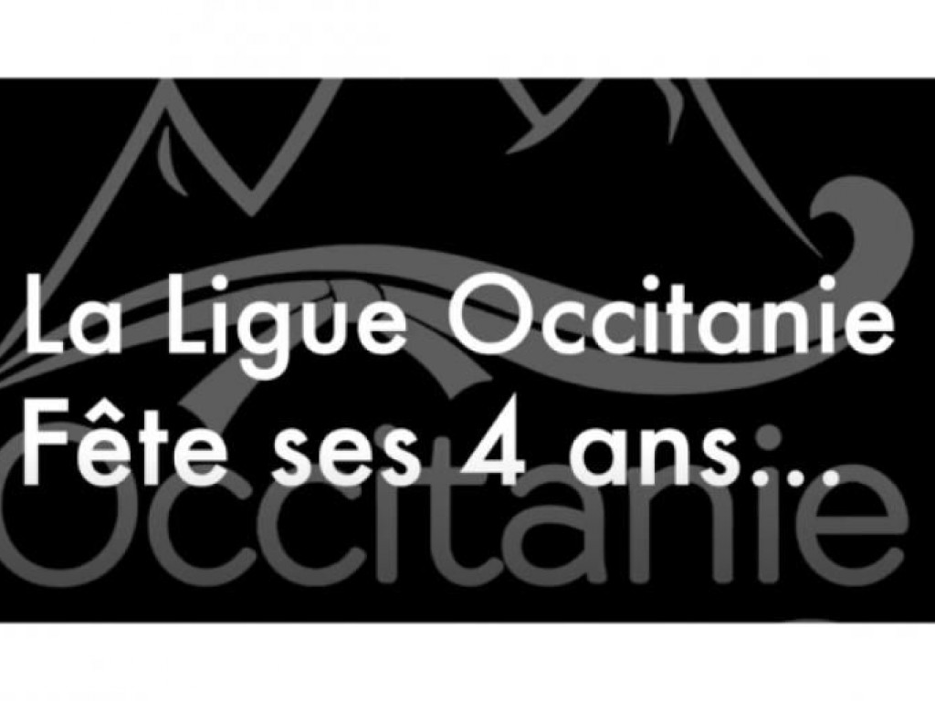 Image de l'actu 'La ligue Occitanie fête ses 4 ans !'