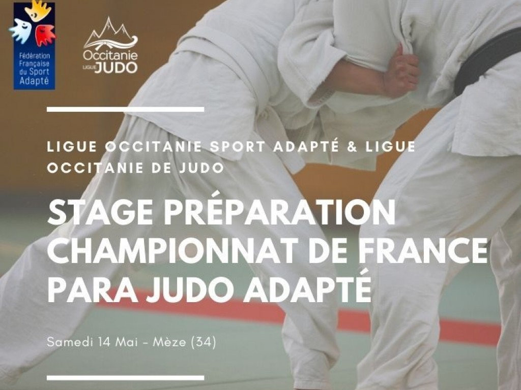 Image de l'actu 'Stage de Préparation Championnat de France Para Judo Adapté'