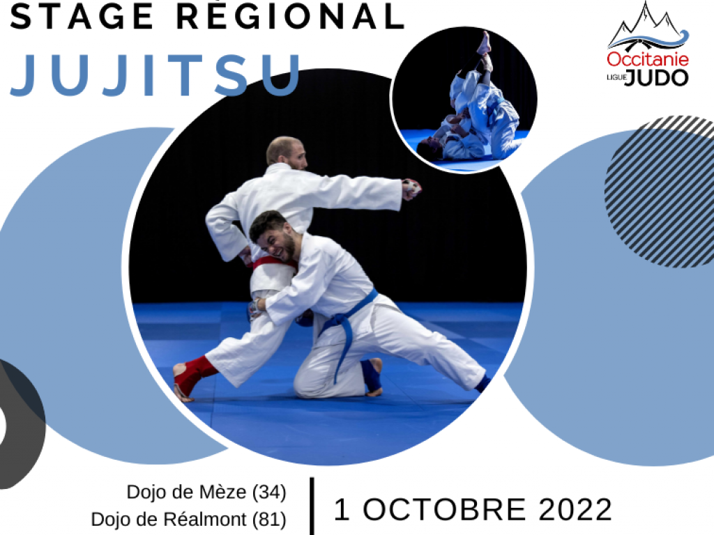 Image de l'actu 'Stage Régional Jujitsu 2022'