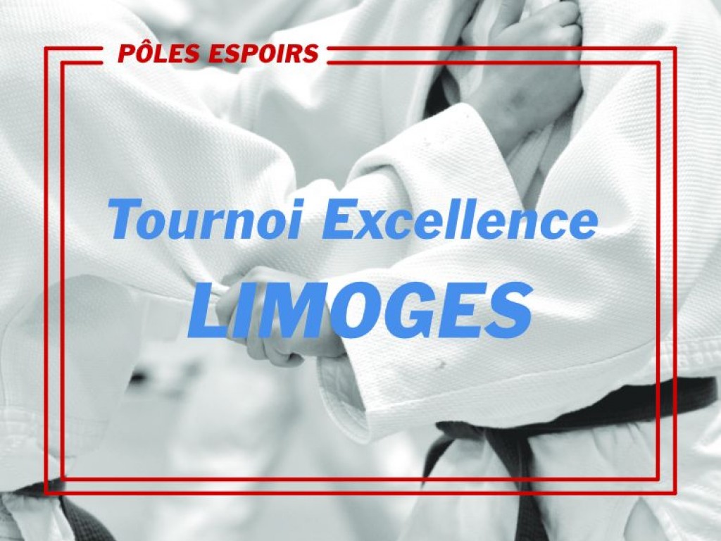 Image de l'actu 'Tournoi Excellence de Limoges - De bons résultats pour les jeunes de la Région'