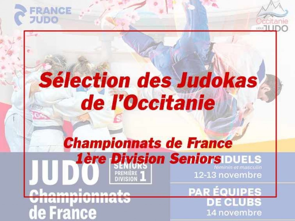 Image de l'actu 'Championnats de France 1ère Division Seniors de Perpignan - Les sélectionnés de la Ligue Occitanie'